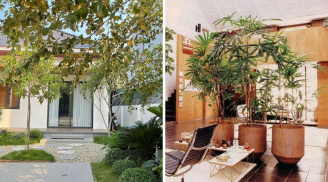 5 dấu hiệu nhận biết ngôi nhà nằm trên “đất vàng” phong thủy: Bán đi là mất lộc trời cho, mất phúc phần