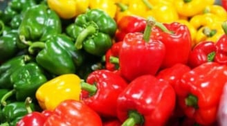 Ớt chuông xanh, đỏ, vàng hay cam tốt nhất cho sức khỏe? Bác sĩ giải đáp cách chọn đúng lợi đủ đường