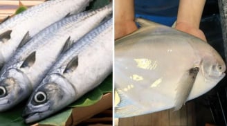 3 loại cá đang vào mùa: Thịt dày, xương ít, dễ tiêu và ngon quên lối về, không ăn quá phí