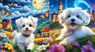 Ánh sáng cuối con đường: 3 tuổi Thất Bại nhiều lần, từ 50 tuổi vực dậy bất ngờ, giàu muộn nhưng trúng đậm