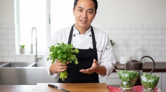 Đầu bếp nhà hàng chỉ cách bảo quản rau mùi, để cả tháng vẫn tươi mơn mởn