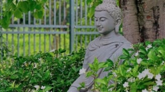 Phật dạy, có 3 điều không nên Cười trong cuộc sống, cười không đúng lúc, đúng chỗ sẽ mang họa vào thân