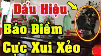 3 dấu hiệu cảnh báo điềm xui xẻo: Nên hóa giải ngay