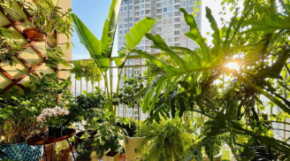 5 thứ không nên để ở ban công, kẻo dễ ảnh hưởng đến tài vận và sự nghiệp của gia chủ