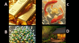 Trắc nghiệm: Chọn 1 hình ảnh bạn ấn tượng nhất để đoán vận giàu có của bạn từ nay đến cuối năm