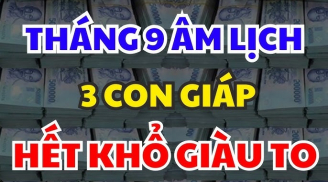 Nửa đầu tháng 11 dương lịch, 3 con giáp Tiền Tự Chui Vào Túi, phú quý bạt ngàn