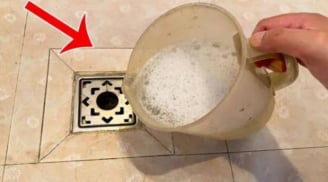Côn trùng bay nhỏ trong phòng tắm? Mẹo tiêu diệt chỉ với 1 lần xả nước và ngăn mùi hôi hiệu quả
