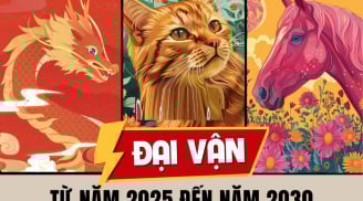 Tháng 11,12/2025: 3 tuổi Trúng liền tay Số Độc Đắc, 1 tuổi hoạn nạn xa nhà