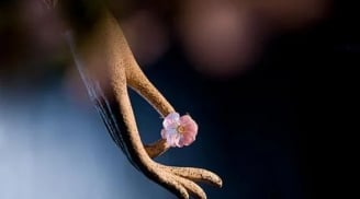 Nếu bạn phỉ báng 4 loại người này, bạn sẽ làm hao tổn phước báu của bản thân nhanh chóng