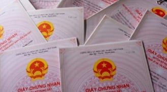 Thủ tục làm Sổ đỏ online: 5 bước đơn giản - xử lý nhanh, nhận Sổ đỏ tại nhà