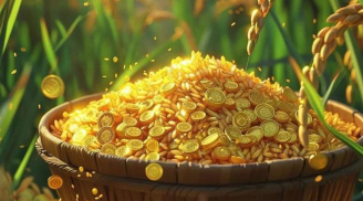 Từ 5-25/11: 3 con giáp như chuột sa chĩnh vàng, bất ngờ quý nhân xuất hiện, cơ hội bày ra trước mắt