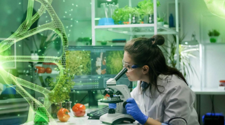 7 công việc lương cao lý tưởng cho người hướng nội: Ít giao tiếp, nhiều cơ hội thăng tiến