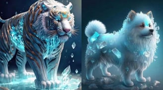 May Mắn Quay Lưng, 4 tuổi chật vật đủ đường, nguy cơ mất trắng 100 ngày tới