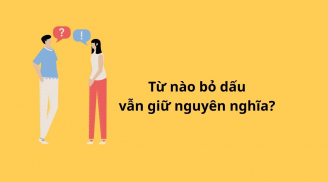 Trong tiếng Việt, từ nào bỏ Dấu vẫn giữ Nguyên Nghĩa?