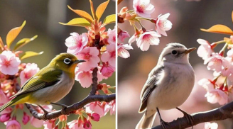 3 ngày sinh Âm lịch của người an nhiên và trường thọ: Được trời cho sức khoẻ, tuổi già minh mẫn