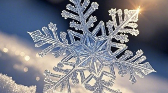 Lập Đông 7–23/11: 3 tuổi Mây Xám bao trùm, cả tin là mất trắng, tỉnh táo ngay giữa thời vận xoay vần