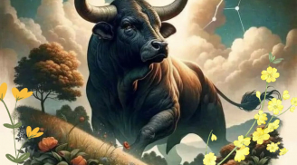 Chủ nhật thảnh thơi, 2 cung hoàng đạo có tin hỷ sự vui vẻ tuyệt vời, 1 cung hoàng đạo bất ngờ tiền về