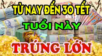 Từ nay tới 30 Tết 2026: 3 con giáp Ăn Lộc Tổ Tiên, bước chân ra đường Hốt Vàng, Hốt Bạc giàu nứt vách