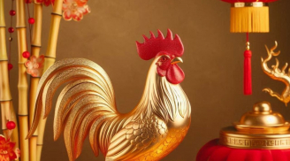 3 tuổi kiên nhẫn bậc nhất: Khó khăn không nao núng, theo đuổi mục tiêu đến cùng, càng già càng giàu