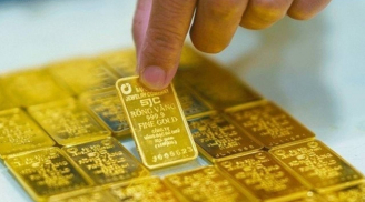 Giá vàng hôm nay 10/11: Tăng mạnh chưa từng có, dự báo bứt phá kỷ lục