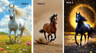 Quiz: Chọn hình ảnh 1 con ngựa để khám phá vận may năm Bính Ngọ 2026, khả năng giàu có của bạn
