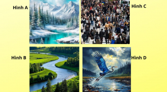 Chọn 1 trong 4 hình ảnh sau để khám phá bí mật tính cách của bạn độc lập hay dễ bị dụ dỗ?