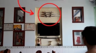 Ngoài sân không nên trồng 3 loại cây, vào nhà tránh treo 3 vật: bí quyết phong thủy gia chủ cần biết