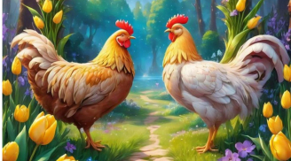 Top 4 con giáp biết lắng nghe, trở thành chỗ dựa tinh thần cho mọi người, Giàu Phúc Giàu Tình