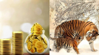 20 ngày tới (16/11-5/12): 3 con giáp hưởng vinh hoa phú quý trọn đời, tiền bạc nhân đôi, sự nghiệp bứt phá