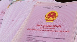 Chính thức: Người dân có thể nộp sổ đỏ qua VNeID, không cần photo cho UBND xã phường