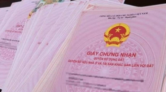 Hàng triệu người được hưởng lợi từ Luật Đất đai 2025: Quyền lợi đặc biệt bạn không thể bỏ lỡ