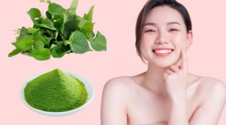 Mẹo làm đẹp với 3 loại rau rẻ bèo quen thuộc