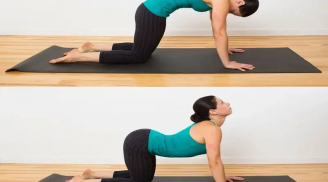 Người sau tuổi 50, hãy tập 5 tư thế yoga này mỗi ngày, giúp tăng lưu thông máu và giảm đột quỵ