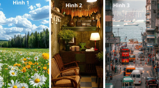 Quiz: Chọn 1 trong 3 hình ảnh để biết tâm hồn bạn Trẻ Trung hay Già trước tuổi?