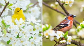 5 số cuối ngày sinh Âm lịch mang mệnh đại phúc: Càng lớn tuổi, phúc lộc càng sâu dày