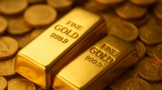 Bảng giá vàng 9999 24K 18K SJC ACB DOJI PNJ hôm nay 13/11/2025