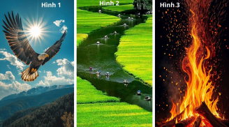 Quiz: Chọn 1 trong 3 hình ảnh để biết bạn giàu lên nhờ có tố chất lãnh đạo hay là nhân viên giỏi?