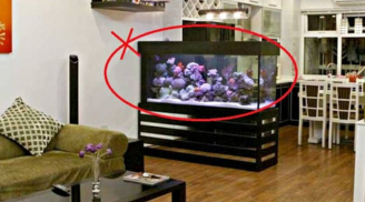 Tránh hao tài tốn của: 4 vật dụng tuyệt đối không đặt dưới chân bàn thờ