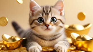 Từ ngày mai, 3 con giáp liên tiếp gặp may mắn, Tình - Tiền đỏ chót