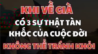 3 sự thật Tàn Khốc của tuổi già, mà khi còn trẻ nên biết kẻo hối hận