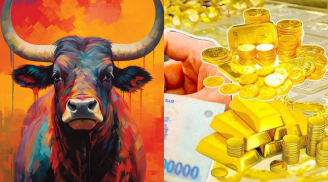 4 con giáp bật chế độ hút tiền 2 năm tới: 2026 càng làm càng lên, sự nghiệp thăng hoa rực rỡ đến 2027