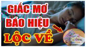 4 giấc mơ thông báo bạn sắp Trúng Số Giàu To: 1 giấc mơ thăng quan tiến chức, lộc như vũ bão