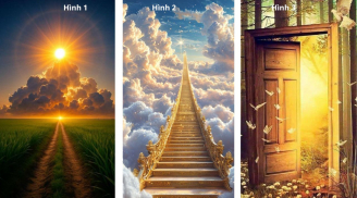 Quiz: Chọn 1 trong 3 hình ảnh cho biết bạn đã thực sự đủ quyết tâm và nỗ lực hết sức để làm giàu