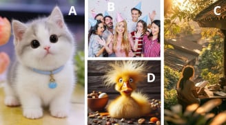 Quiz: Chọn 1 trong 4 hình dưới đây để xem khả năng hài hước của bạn ra sao?