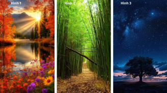 Quiz: Chọn 1 trong 3 hình để xem bạn Giàu Năng lượng, tư duy tích cực hay dễ mất tinh thần?