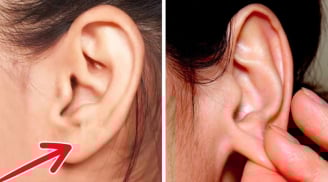 Thường xuyên Xoa Tai giúp dưỡng nhan, trị đau đầu, cường thận