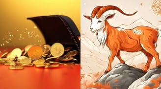 Đầu óc tinh anh, biết cách làm giàu, quý nhân nâng đỡ: 3 con giáp tháng 12 giàu lên từng ngày