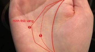 Đây là tướng tay có phúc, người sở hữu nó có cuộc đời nhiều may mắn, tiền bạc và tài lộc luôn rủng rỉnh