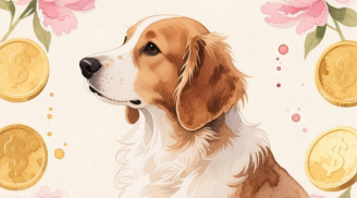 Từ 2/10 âm lịch đến Tết Bính Ngọ, 3 tuổi công việc thuận lợi, tiền tài vào như nước
