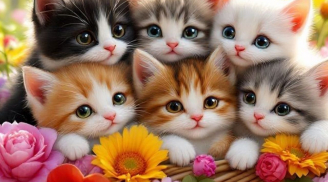 2 tuổi không kiếm tiền giỏi nhưng Phu Thê và Tử Tức tốt lành, 1 tuổi tài giỏi giàu có lại dễ cô đơn